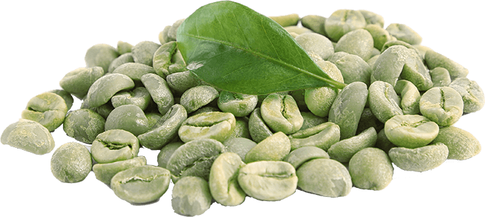 Green coffee